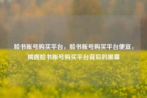 脸书账号购买平台	，脸书账号购买平台便宜，揭露脸书账号购买平台背后的黑幕  第1张
