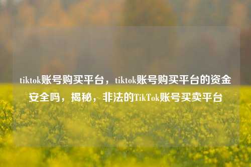 tiktok账号购买平台，tiktok账号购买平台的资金安全吗，揭秘，非法的TikTok账号买卖平台