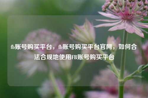 fb账号购买平台，fb账号购买平台官网，如何合法合规地使用FB账号购买平台  第1张