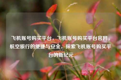 飞机账号购买平台，飞机账号购买平台官网，航空旅行的便捷与安全，探索飞机账号购买平台的新纪元
