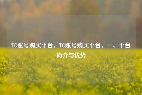 TG账号购买平台	，TG账号购买平台，一、平台简介与优势  第1张