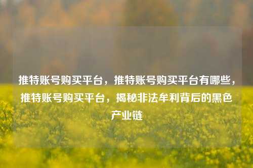 推特账号购买平台，推特账号购买平台有哪些，推特账号购买平台，揭秘非法牟利背后的黑色产业链