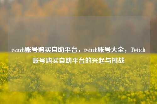 twitch账号购买自助平台，twitch账号大全，Twitch账号购买自助平台的兴起与挑战