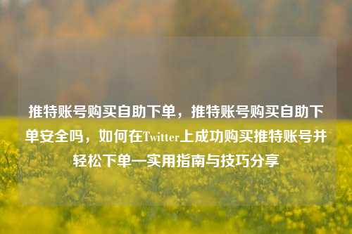 推特账号购买自助下单，推特账号购买自助下单安全吗，如何在Twitter上成功购买推特账号并轻松下单—实用指南与技巧分享