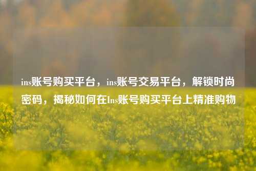 ins账号购买平台，ins账号交易平台，解锁时尚密码，揭秘如何在Ins账号购买平台上精准购物