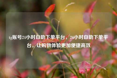 tg账号24小时自助下单平台，24小时自助下单平台，让购物体验更加便捷高效