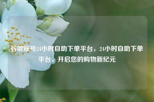 谷歌账号24小时自助下单平台，24小时自助下单平台，开启您的购物新纪元