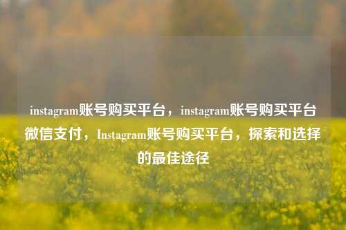 instagram账号购买平台，instagram账号购买平台微信支付，Instagram账号购买平台，探索和选择的最佳途径