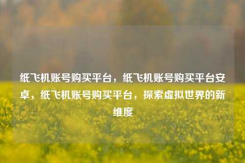 纸飞机账号购买平台，纸飞机账号购买平台安卓，纸飞机账号购买平台，探索虚拟世界的新维度