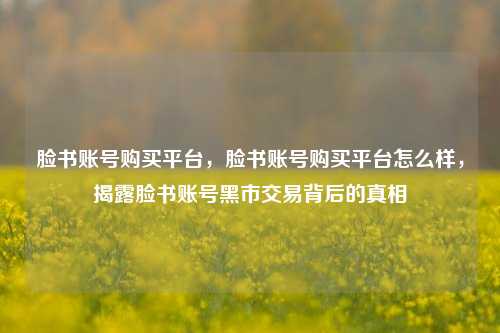 脸书账号购买平台，脸书账号购买平台怎么样，揭露脸书账号黑市交易背后的真相
