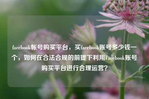 facebook帐号购买平台	，买facebook账号多少钱一个，如何在合法合规的前提下利用Facebook账号购买平台进行合理运营？  第1张