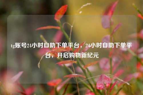 tg账号24小时自助下单平台，24小时自助下单平台，开启购物新纪元