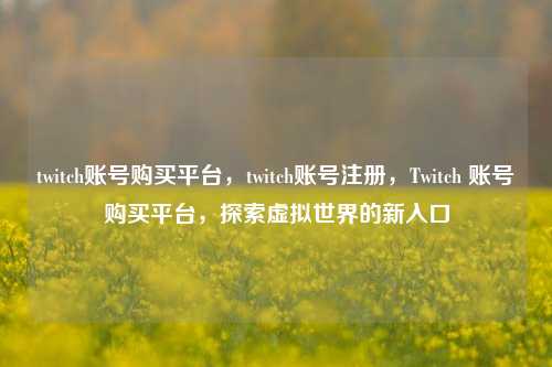 twitch账号购买平台，twitch账号注册，Twitch 账号购买平台，探索虚拟世界的新入口