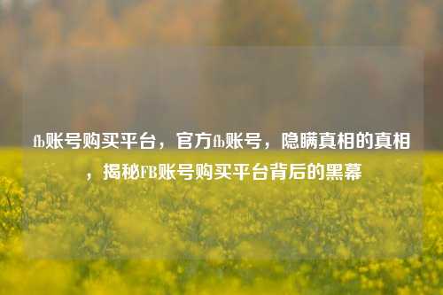 fb账号购买平台，官方fb账号，隐瞒真相的真相，揭秘FB账号购买平台背后的黑幕