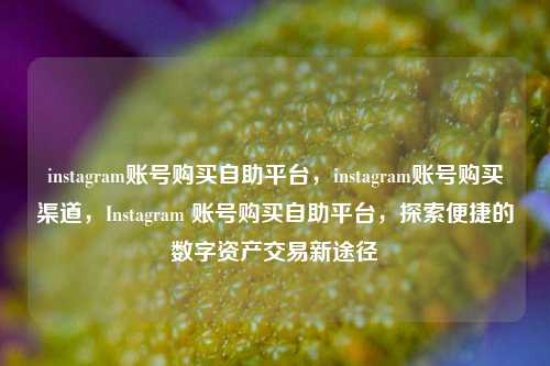 instagram账号购买自助平台，instagram账号购买渠道，Instagram 账号购买自助平台，探索便捷的数字资产交易新途径