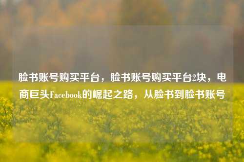 脸书账号购买平台，脸书账号购买平台2块，电商巨头Facebook的崛起之路，从脸书到脸书账号