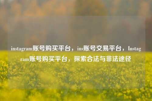 instagram账号购买平台，ins账号交易平台，Instagram账号购买平台，探索合法与非法途径