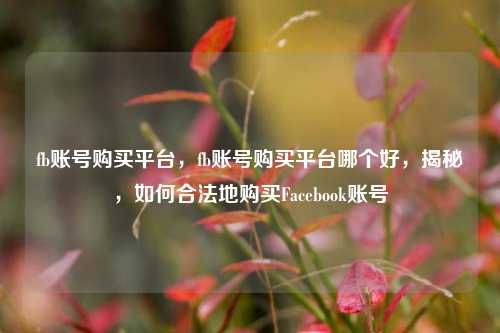 fb账号购买平台，fb账号购买平台哪个好，揭秘	，如何合法地购买Facebook账号  第1张