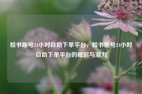 脸书账号24小时自助下单平台，脸书账号24小时自助下单平台的崛起与潜力