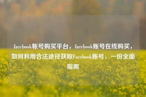 facebook帐号购买平台，facebook账号在线购买，如何利用合法途径获取Facebook账号	，一份全面指南  第1张