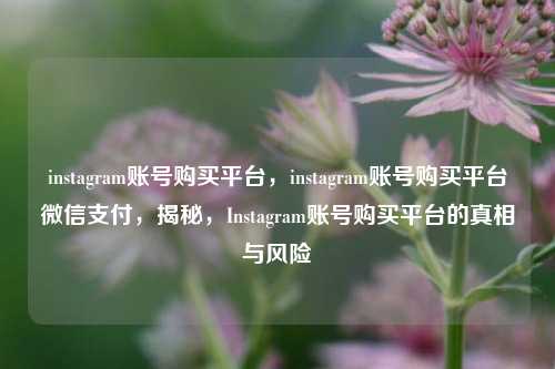 instagram账号购买平台，instagram账号购买平台微信支付，揭秘，Instagram账号购买平台的真相与风险  第1张
