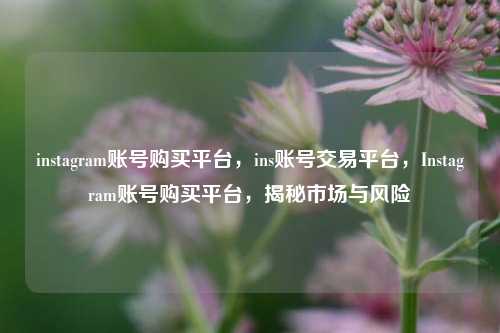 instagram账号购买平台，ins账号交易平台	，Instagram账号购买平台，揭秘市场与风险  第1张