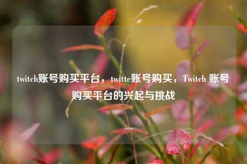 twitch账号购买平台，twitte账号购买，Twitch 账号购买平台的兴起与挑战