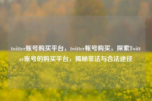 twitter账号购买平台，twitter帐号购买	，探索Twitter账号的购买平台，揭秘非法与合法途径  第1张