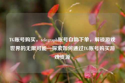 TG账号购买，telegraph账号自助下单，解锁游戏世界的无限可能—探索如何通过TG账号购买游戏资源