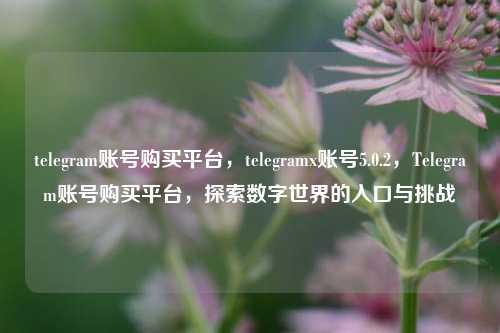 telegram账号购买平台，telegramx账号5.0.2，Telegram账号购买平台	，探索数字世界的入口与挑战  第1张
