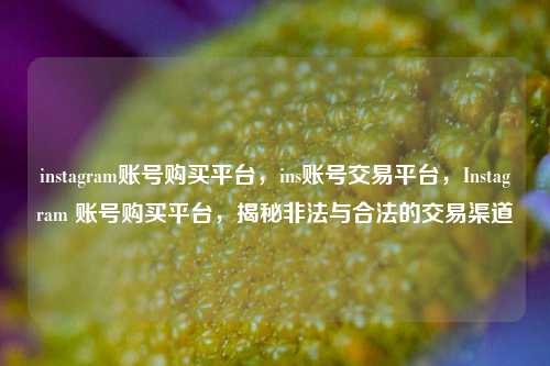 instagram账号购买平台，ins账号交易平台，Instagram 账号购买平台，揭秘非法与合法的交易渠道
