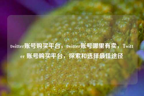 twitter账号购买平台，twitter账号哪里有卖，Twitter 账号购买平台，探索和选择最佳途径