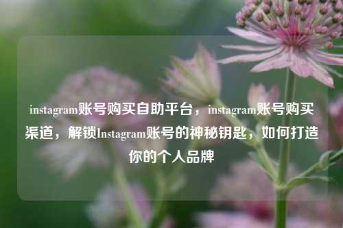 instagram账号购买自助平台，instagram账号购买渠道，解锁Instagram账号的神秘钥匙	，如何打造你的个人品牌  第1张