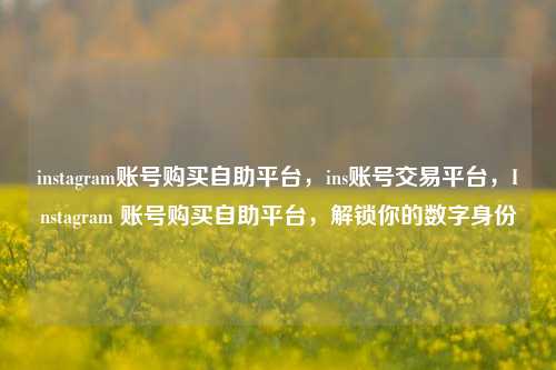 instagram账号购买自助平台，ins账号交易平台，Instagram 账号购买自助平台，解锁你的数字身份