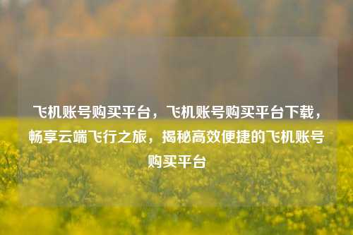 飞机账号购买平台，飞机账号购买平台下载，畅享云端飞行之旅，揭秘高效便捷的飞机账号购买平台