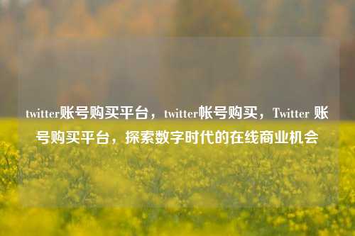 twitter账号购买平台，twitter帐号购买，Twitter 账号购买平台，探索数字时代的在线商业机会