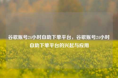 谷歌账号24小时自助下单平台，谷歌账号24小时自助下单平台的兴起与应用