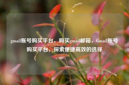 gmail账号购买平台，购买gmail邮箱，Gmail账号购买平台	，探索便捷高效的选择  第1张