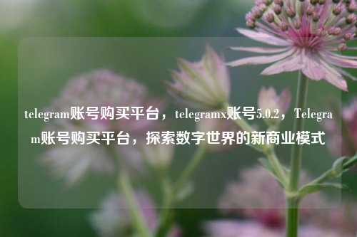 telegram账号购买平台，telegramx账号5.0.2，Telegram账号购买平台	，探索数字世界的新商业模式  第1张