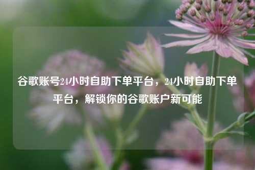 谷歌账号24小时自助下单平台，24小时自助下单平台，解锁你的谷歌账户新可能