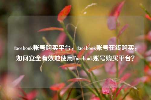 facebook帐号购买平台，facebook账号在线购买，如何安全有效地使用Facebook账号购买平台？