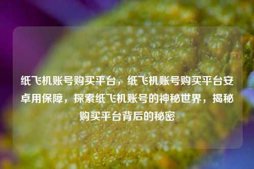 纸飞机账号购买平台，纸飞机账号购买平台安卓用保障，探索纸飞机账号的神秘世界，揭秘购买平台背后的秘密