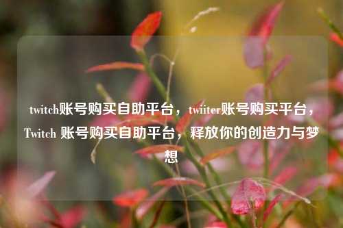twitch账号购买自助平台，twiiter账号购买平台，Twitch 账号购买自助平台	，释放你的创造力与梦想  第1张