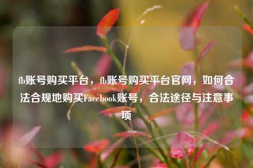 fb账号购买平台，fb账号购买平台官网，如何合法合规地购买Facebook账号，合法途径与注意事项