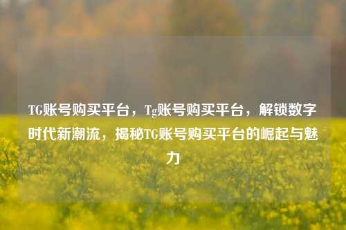TG账号购买平台，Tg账号购买平台，解锁数字时代新潮流，揭秘TG账号购买平台的崛起与魅力
