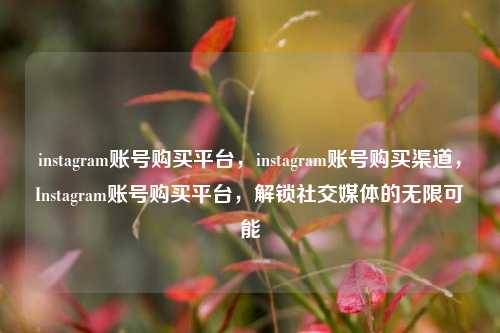 instagram账号购买平台，instagram账号购买渠道，Instagram账号购买平台，解锁社交媒体的无限可能