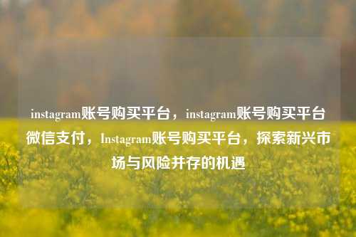 instagram账号购买平台，instagram账号购买平台微信支付，Instagram账号购买平台，探索新兴市场与风险并存的机遇