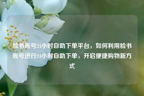 脸书账号24小时自助下单平台，如何利用脸书账号进行24小时自助下单，开启便捷购物新方式