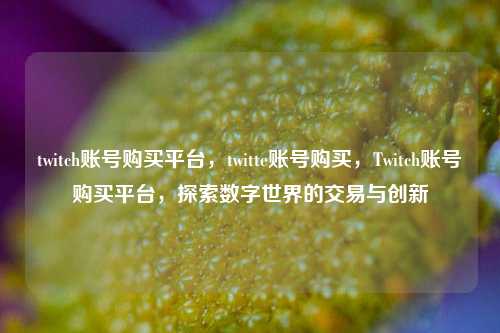 twitch账号购买平台，twitte账号购买，Twitch账号购买平台，探索数字世界的交易与创新