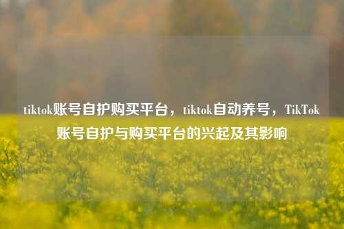 tiktok账号自护购买平台，tiktok自动养号，TikTok账号自护与购买平台的兴起及其影响
